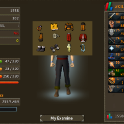 1558 Total | 106 QP | Santa | Warlock | Chicken Costume | Ice Amulet | Cornucopia | Easter Ring | 15 Year Veteran | 3 0